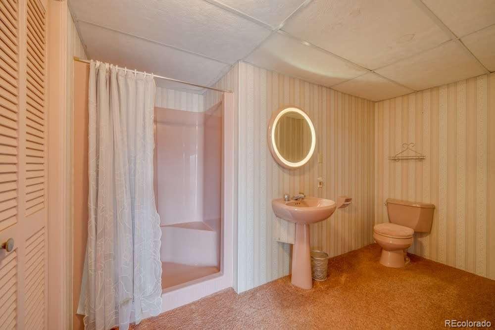 MLS Image #20 for 7710  charles street,colorado city, Colorado