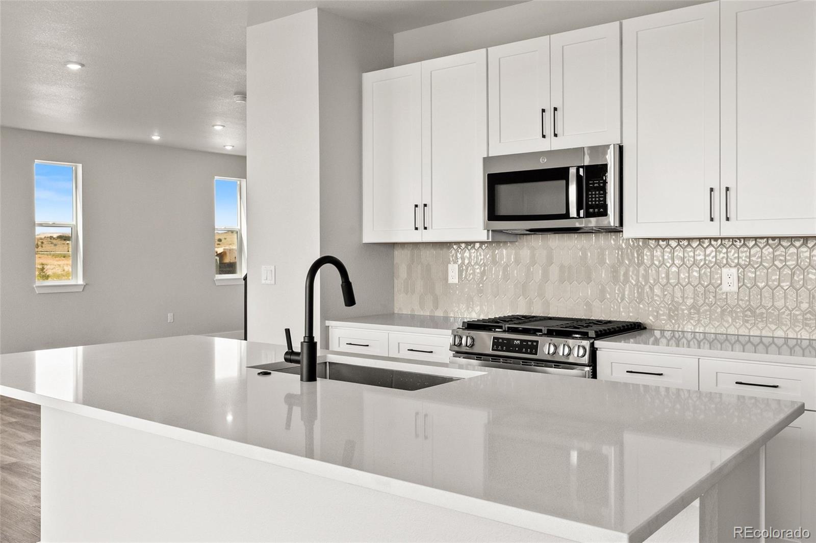 MLS Image #15 for 16418  lone wolf place,parker, Colorado