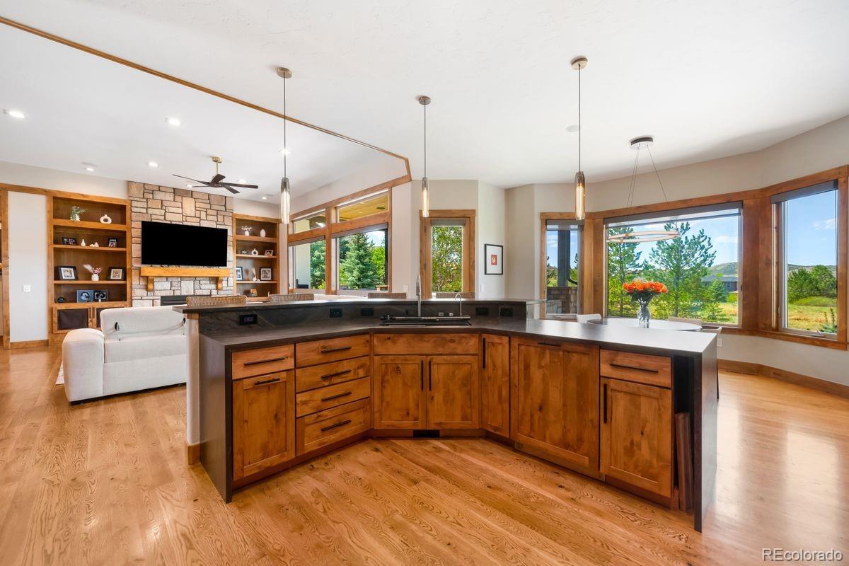 MLS Image #10 for 5415  moonlight way,parker, Colorado
