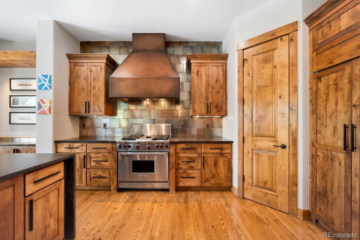 MLS Image #11 for 5415  moonlight way,parker, Colorado