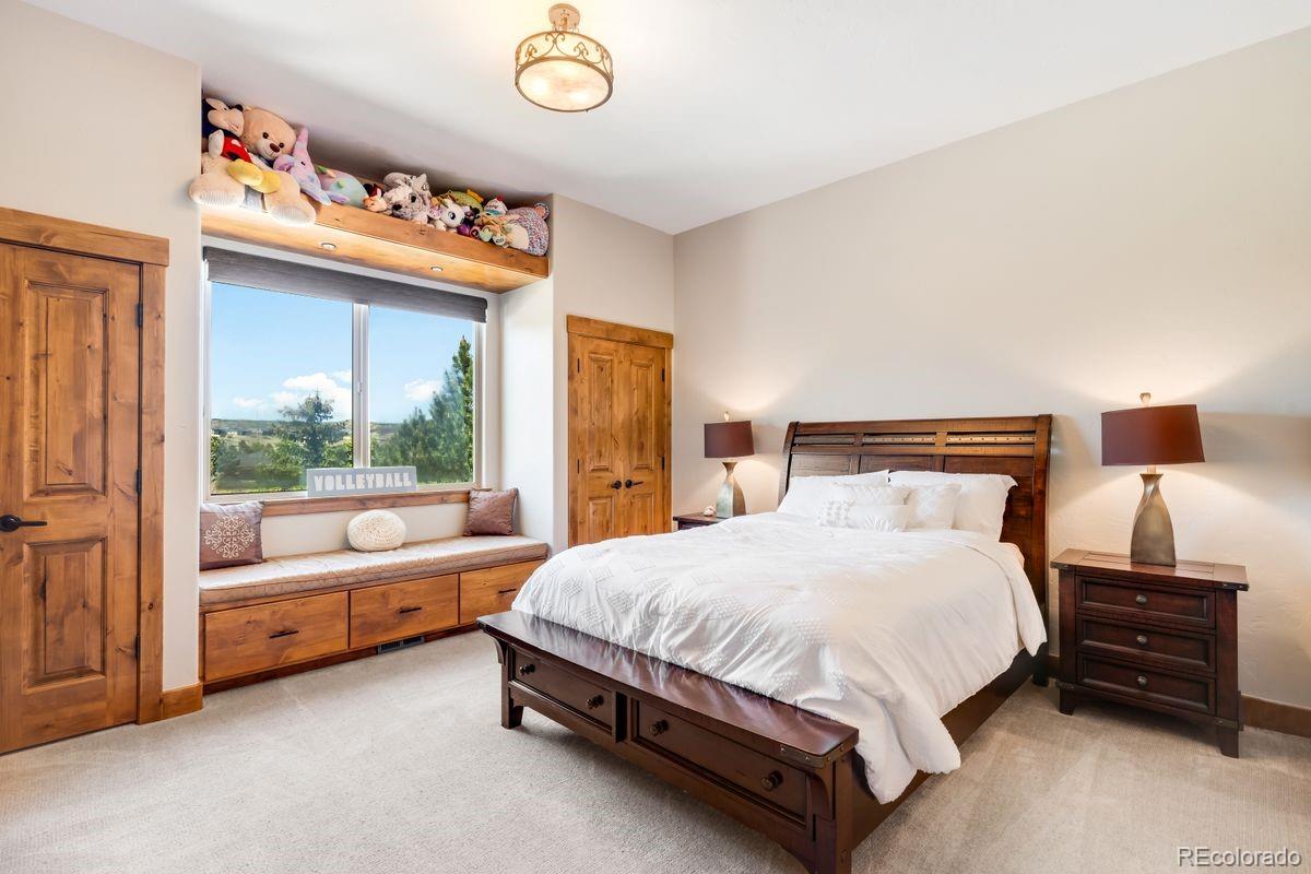 MLS Image #23 for 5415  moonlight way,parker, Colorado