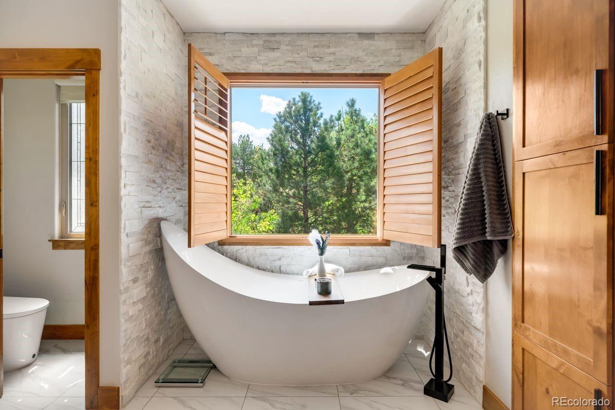 MLS Image #6 for 5415  moonlight way,parker, Colorado