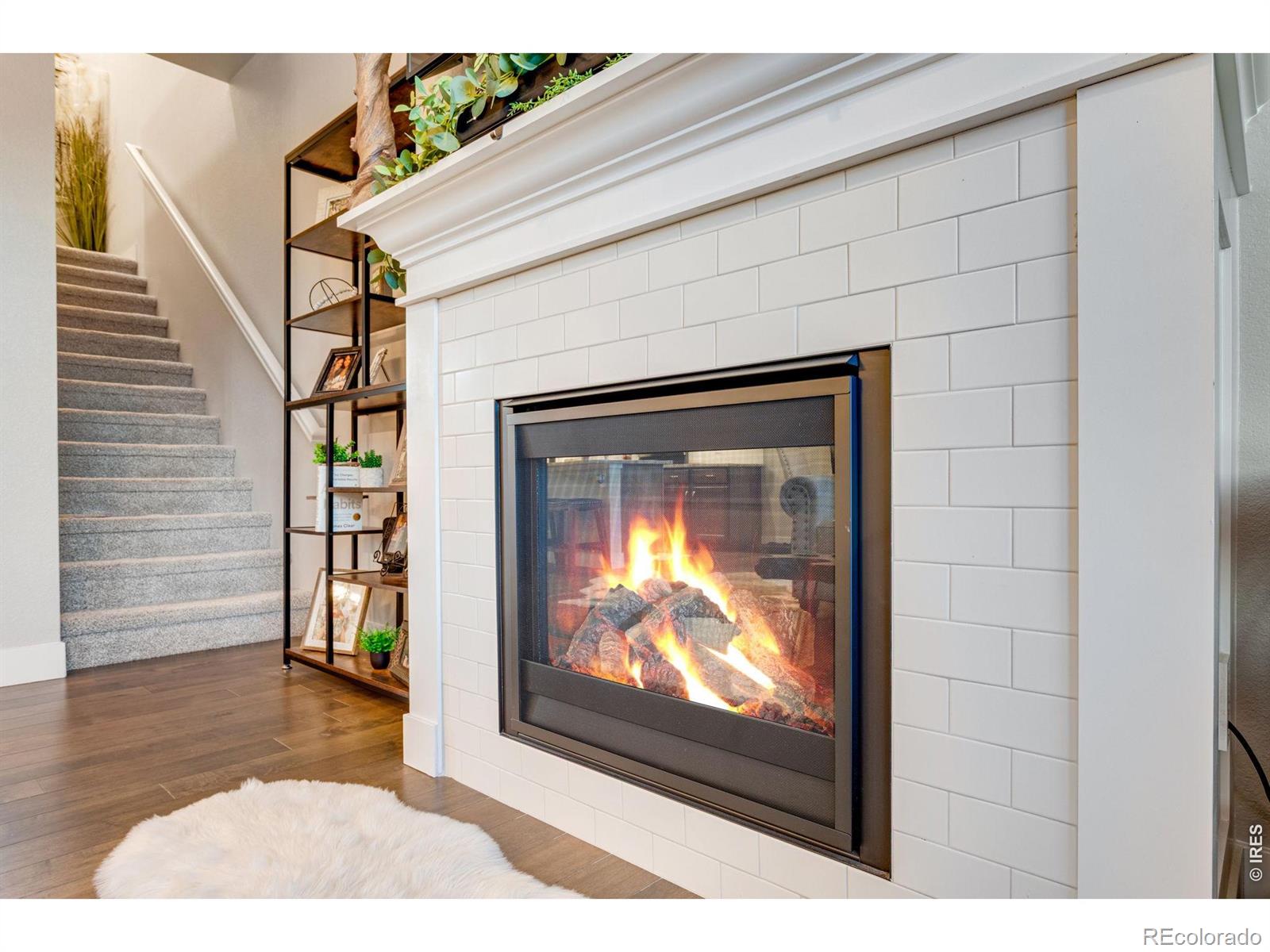 MLS Image #20 for 5221  longshaw court,windsor, Colorado