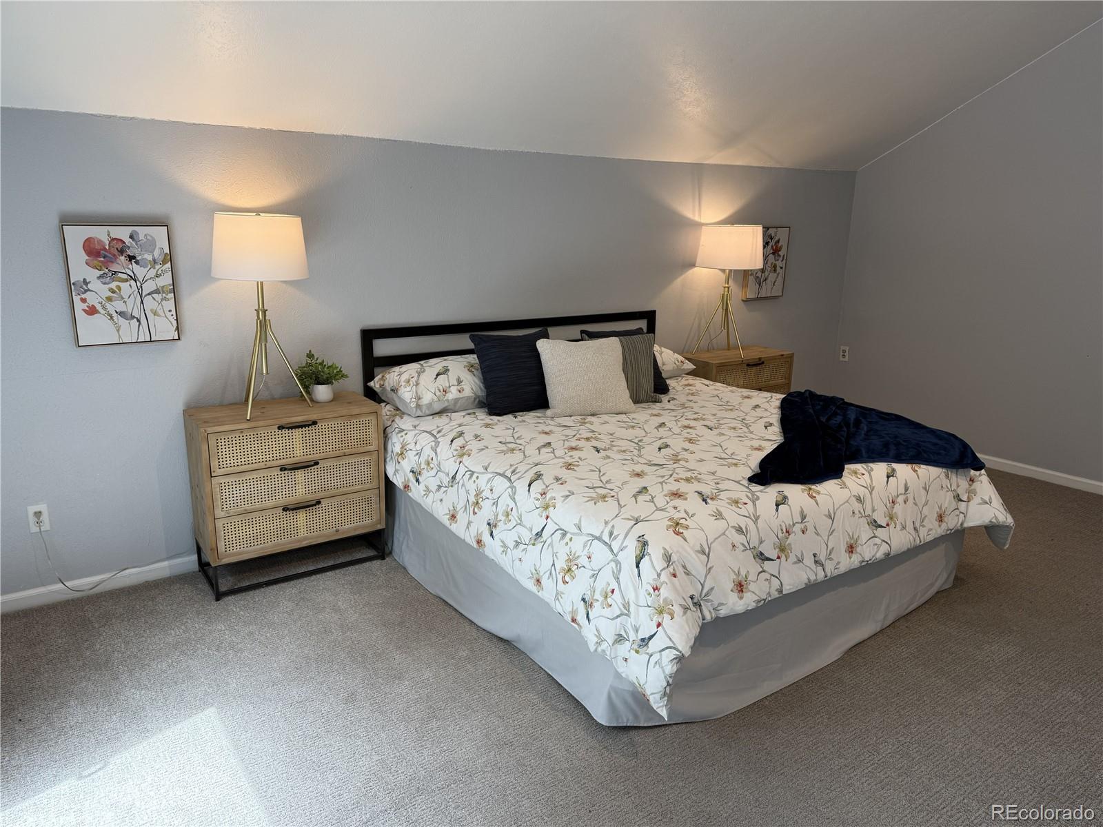 MLS Image #27 for 6374  kenya drive,evergreen, Colorado