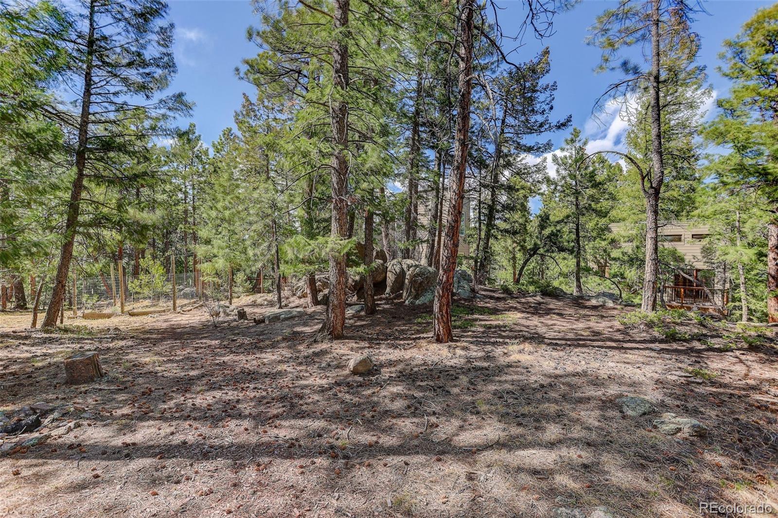 MLS Image #38 for 6374  kenya drive,evergreen, Colorado