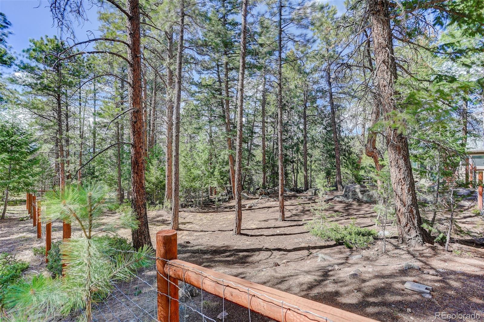 MLS Image #39 for 6374  kenya drive,evergreen, Colorado
