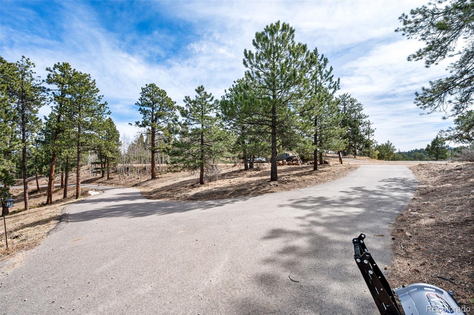 MLS Image #1 for 21  hummingbird court,bailey, Colorado