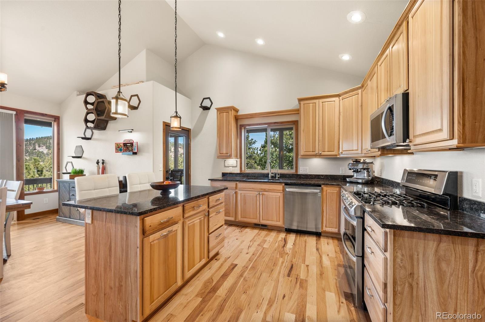 MLS Image #14 for 21  hummingbird court,bailey, Colorado