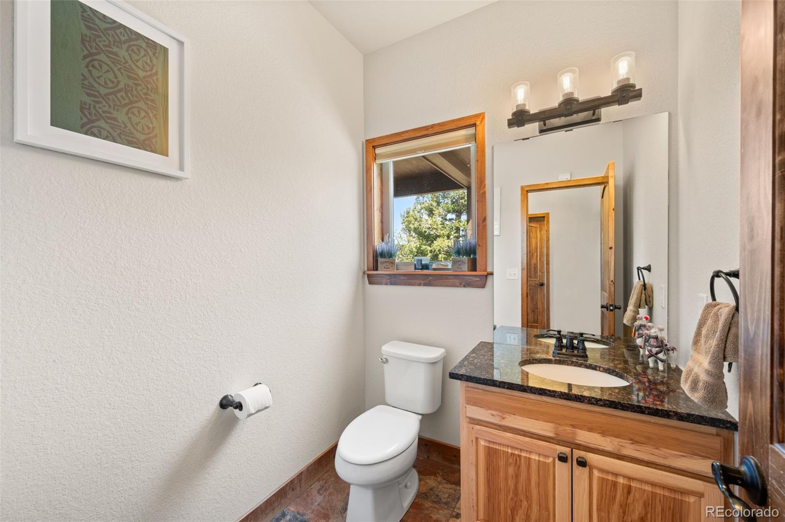 MLS Image #16 for 21  hummingbird court,bailey, Colorado