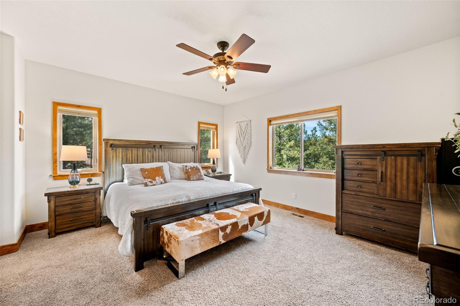 MLS Image #17 for 21  hummingbird court,bailey, Colorado