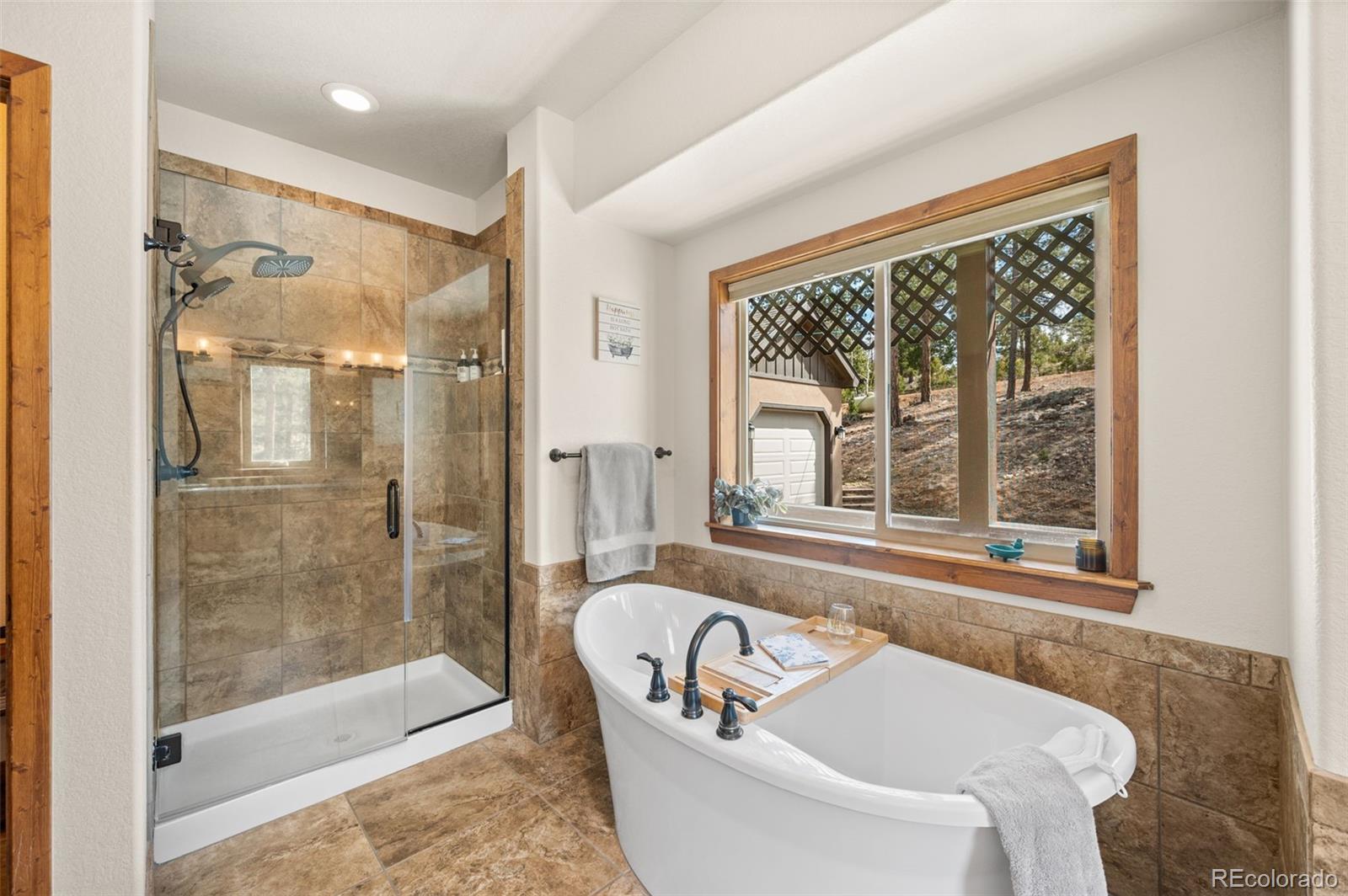 MLS Image #21 for 21  hummingbird court,bailey, Colorado