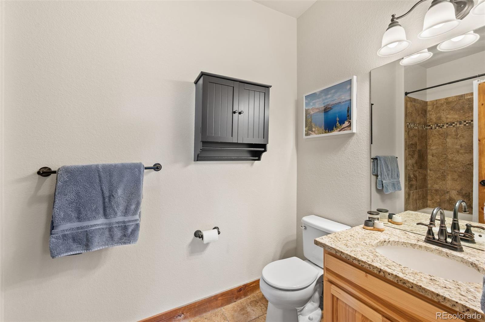 MLS Image #25 for 21  hummingbird court,bailey, Colorado