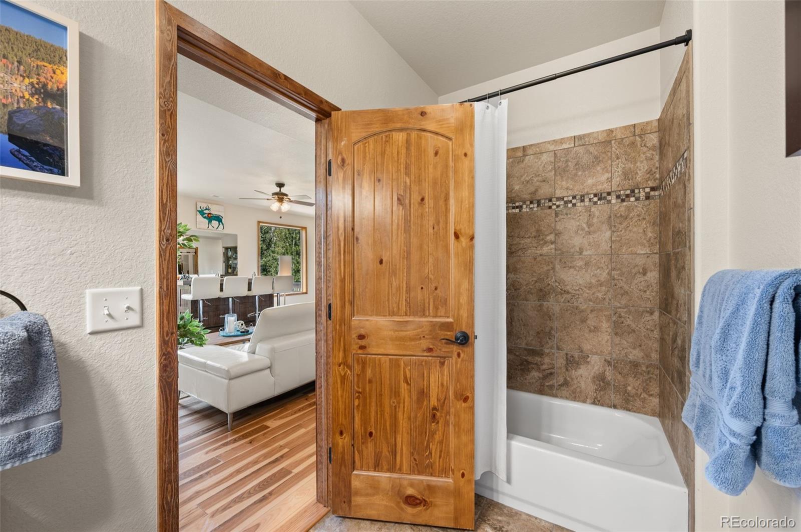 MLS Image #26 for 21  hummingbird court,bailey, Colorado