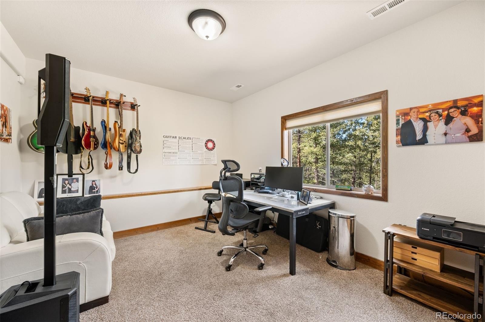 MLS Image #29 for 21  hummingbird court,bailey, Colorado