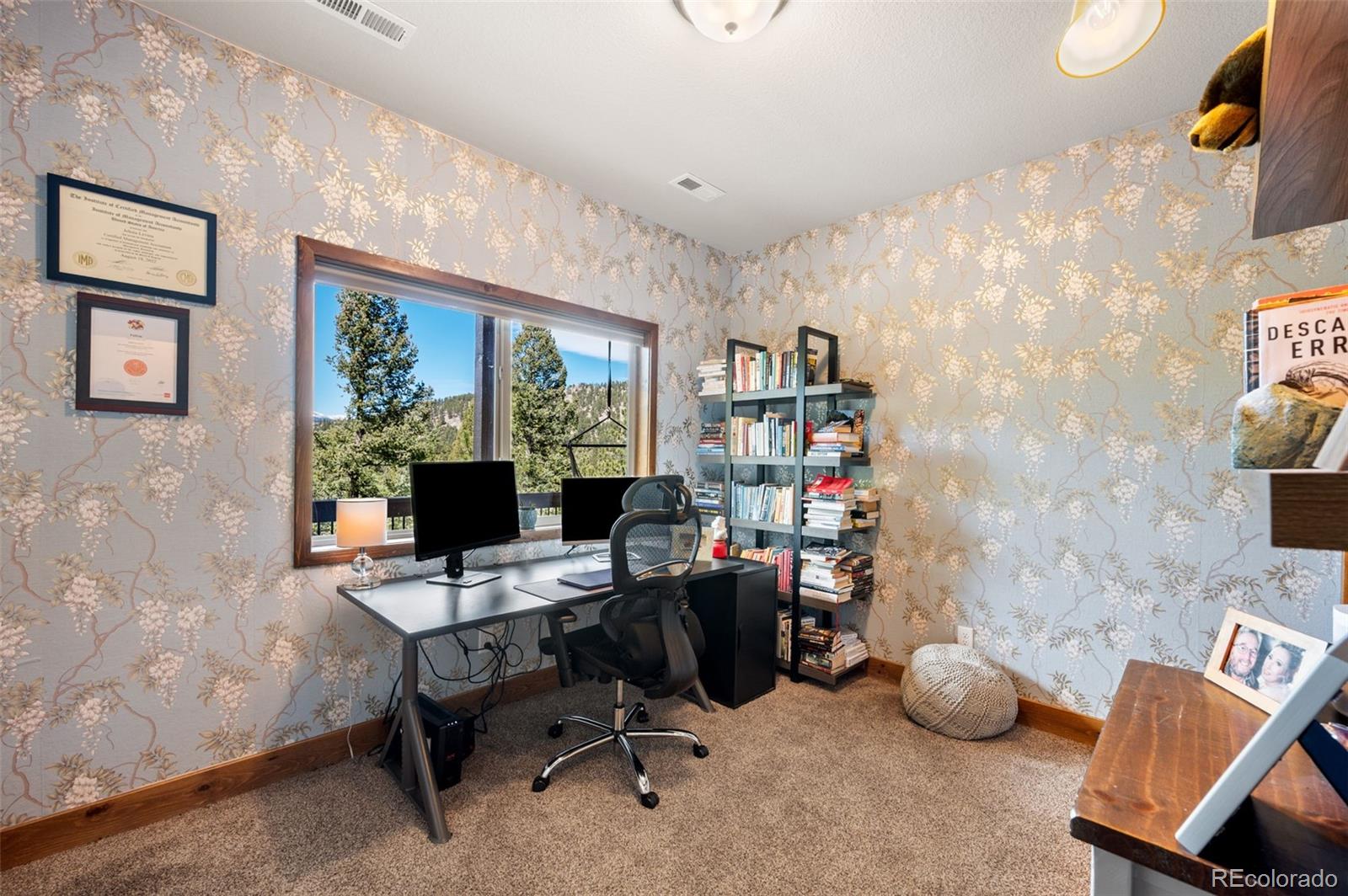 MLS Image #31 for 21  hummingbird court,bailey, Colorado
