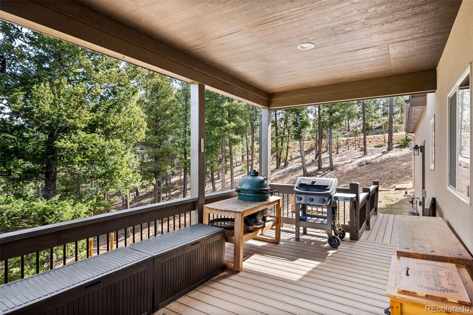 MLS Image #35 for 21  hummingbird court,bailey, Colorado