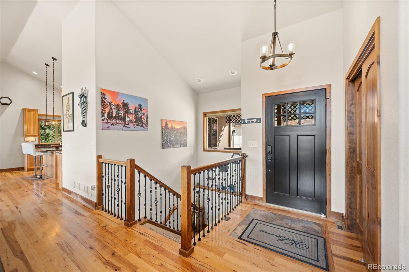 MLS Image #5 for 21  hummingbird court,bailey, Colorado