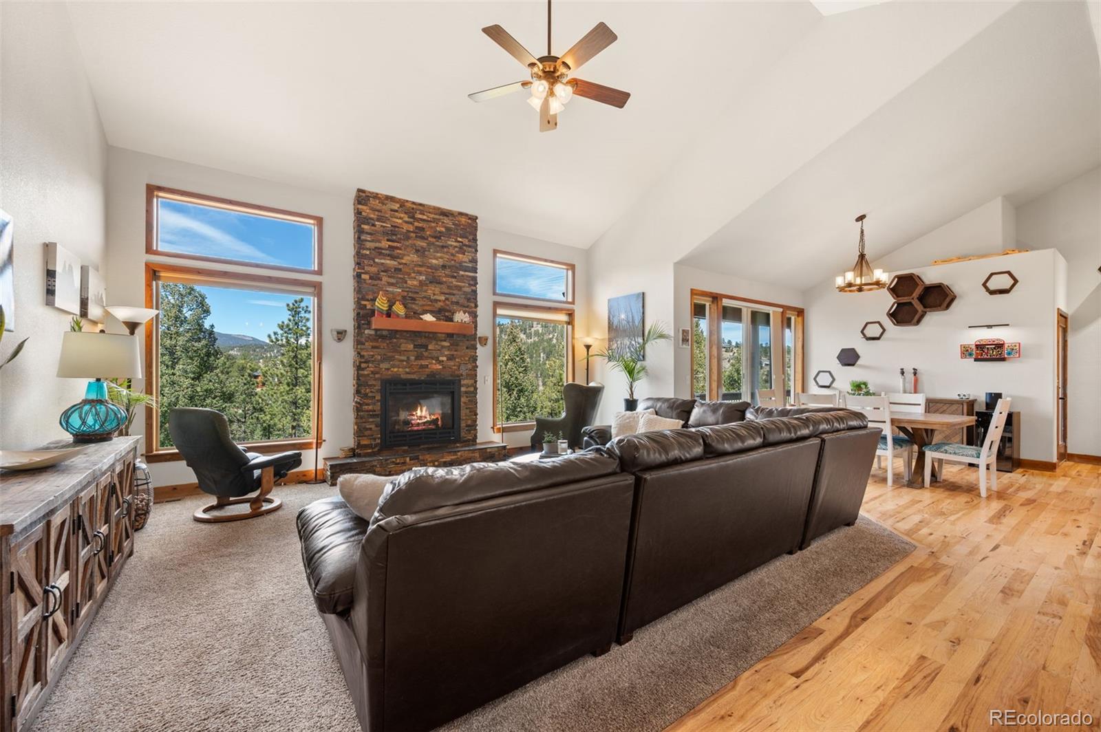 MLS Image #6 for 21  hummingbird court,bailey, Colorado