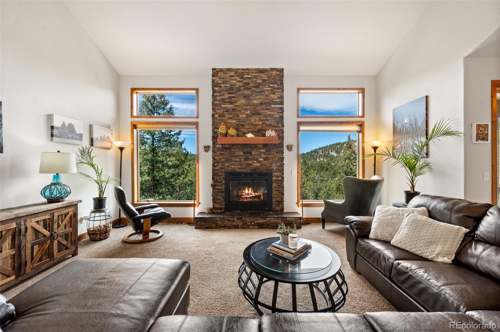 MLS Image #7 for 21  hummingbird court,bailey, Colorado