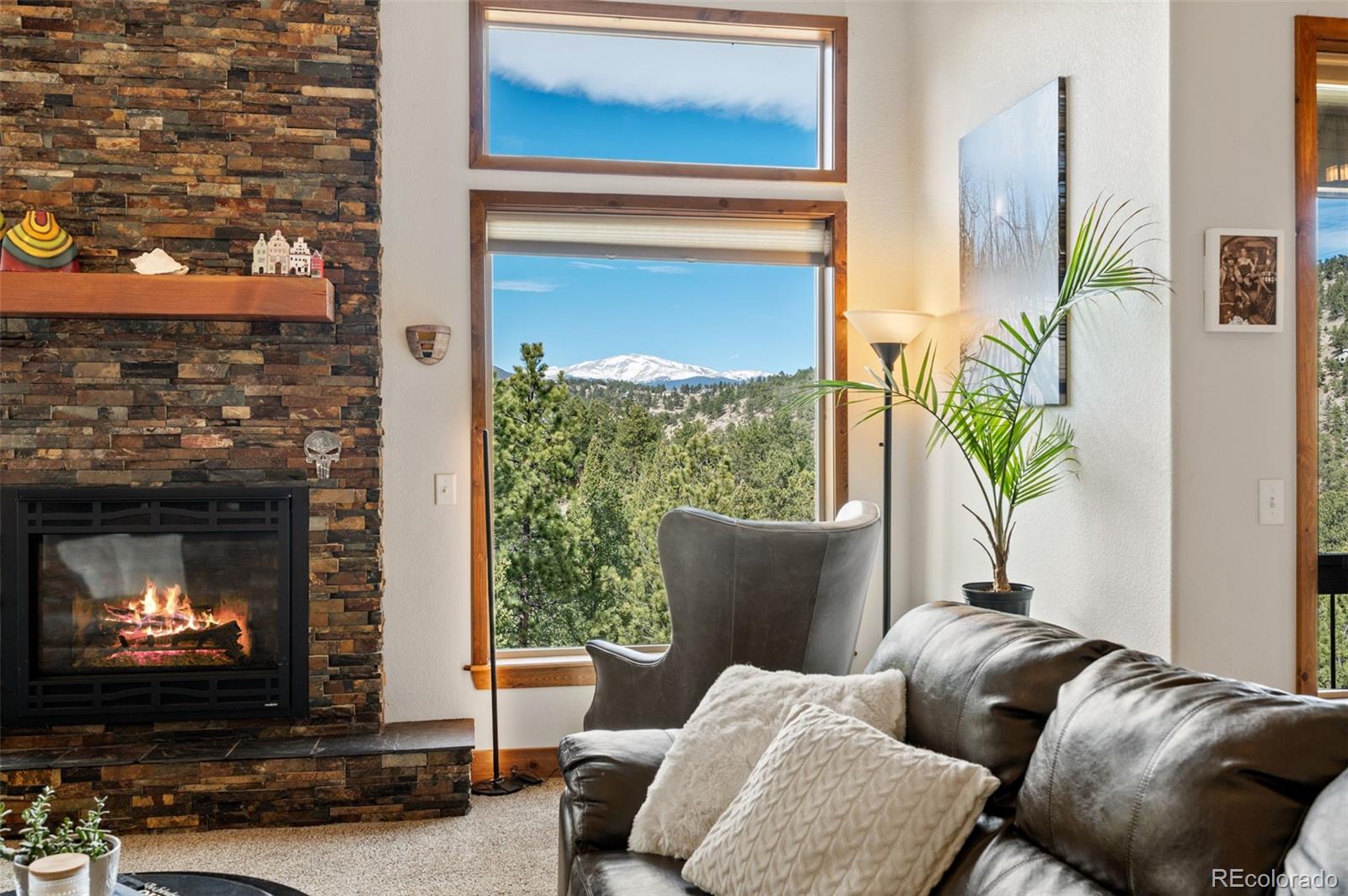 MLS Image #8 for 21  hummingbird court,bailey, Colorado