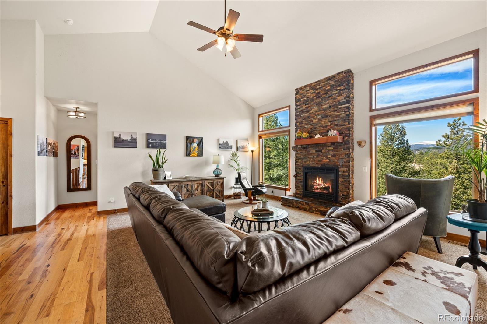 MLS Image #9 for 21  hummingbird court,bailey, Colorado