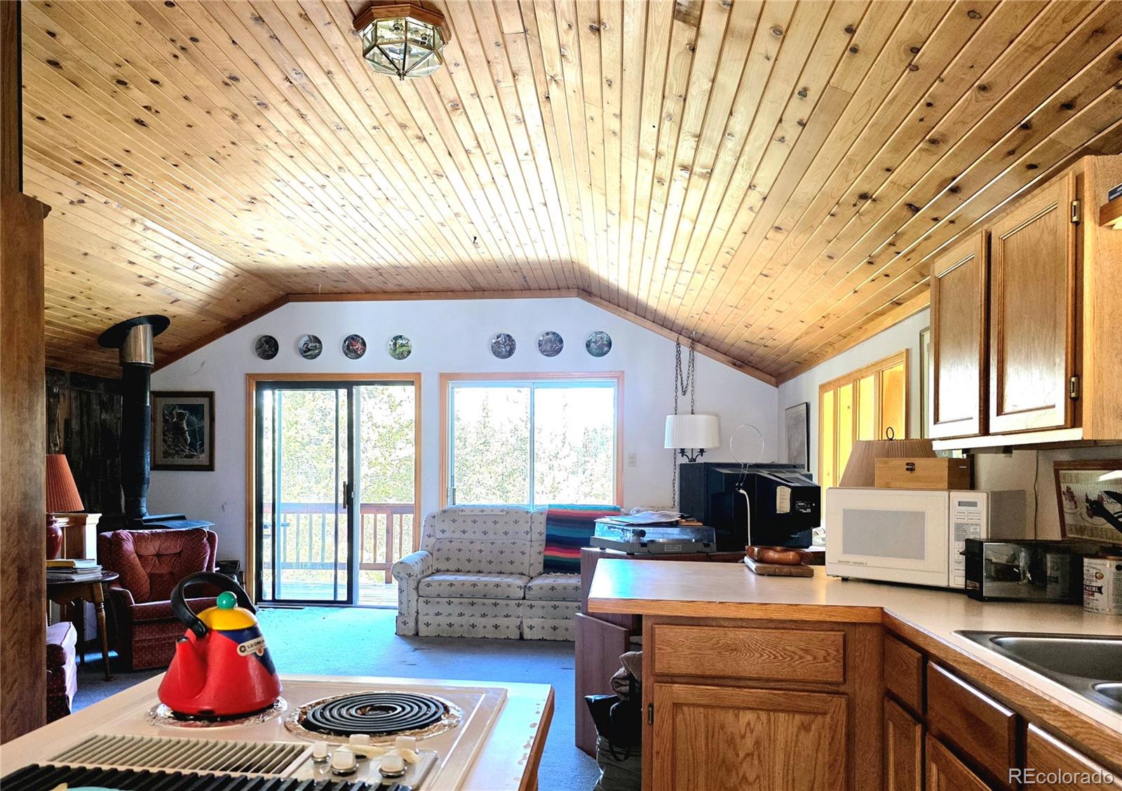 MLS Image #11 for 211  pine ridge road,alma, Colorado
