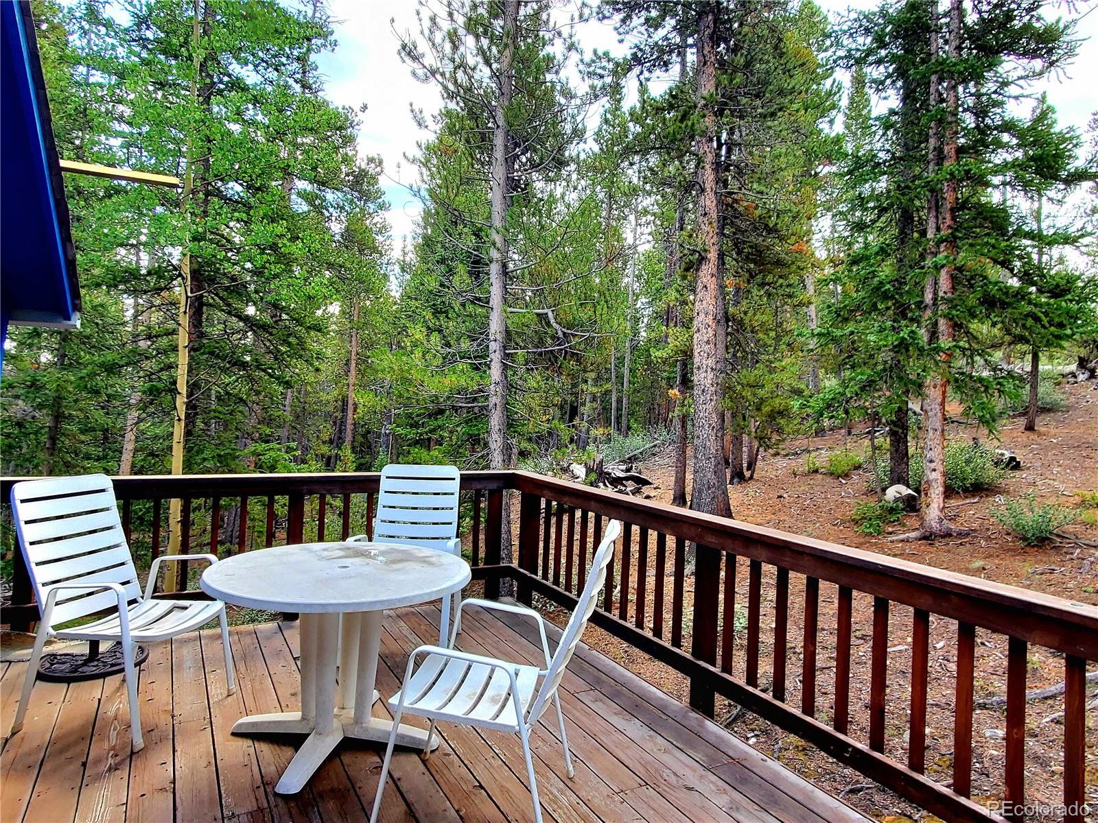 MLS Image #23 for 211  pine ridge road,alma, Colorado