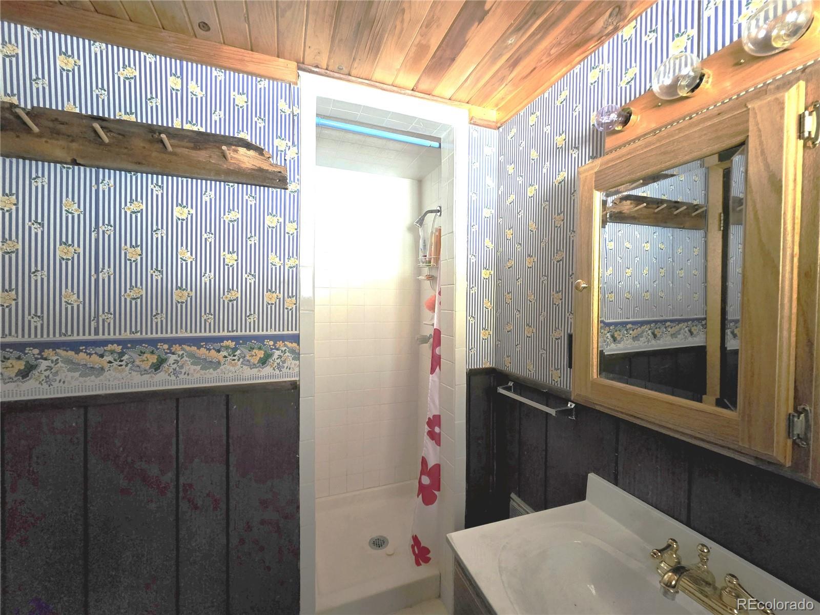 MLS Image #28 for 211  pine ridge road,alma, Colorado
