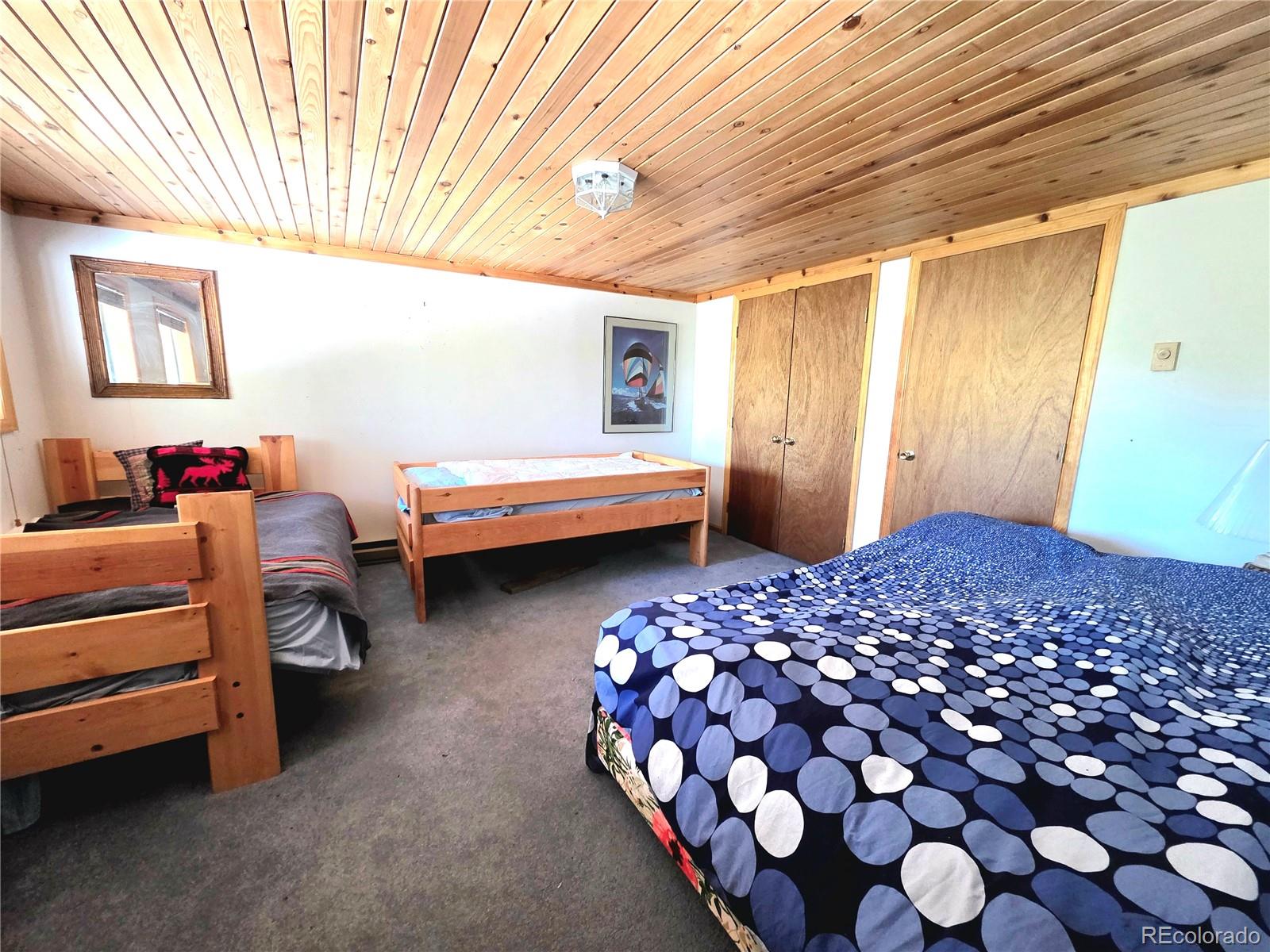 MLS Image #30 for 211  pine ridge road,alma, Colorado