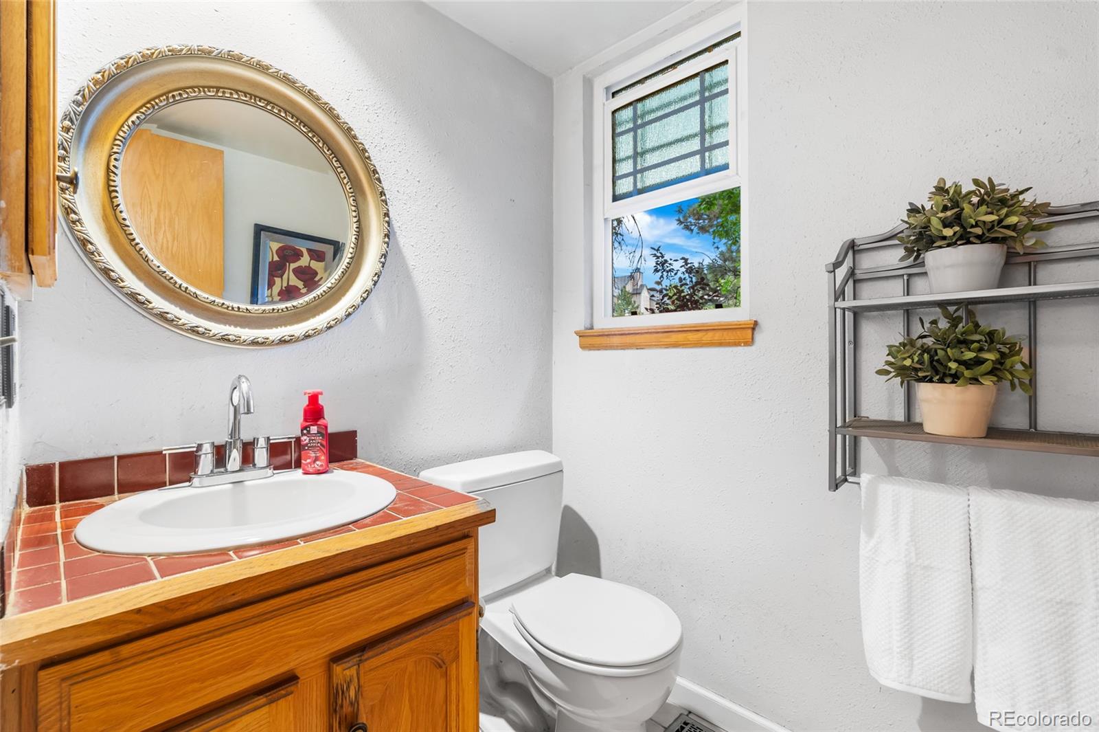 MLS Image #14 for 7359 s mount holy cross ,littleton, Colorado