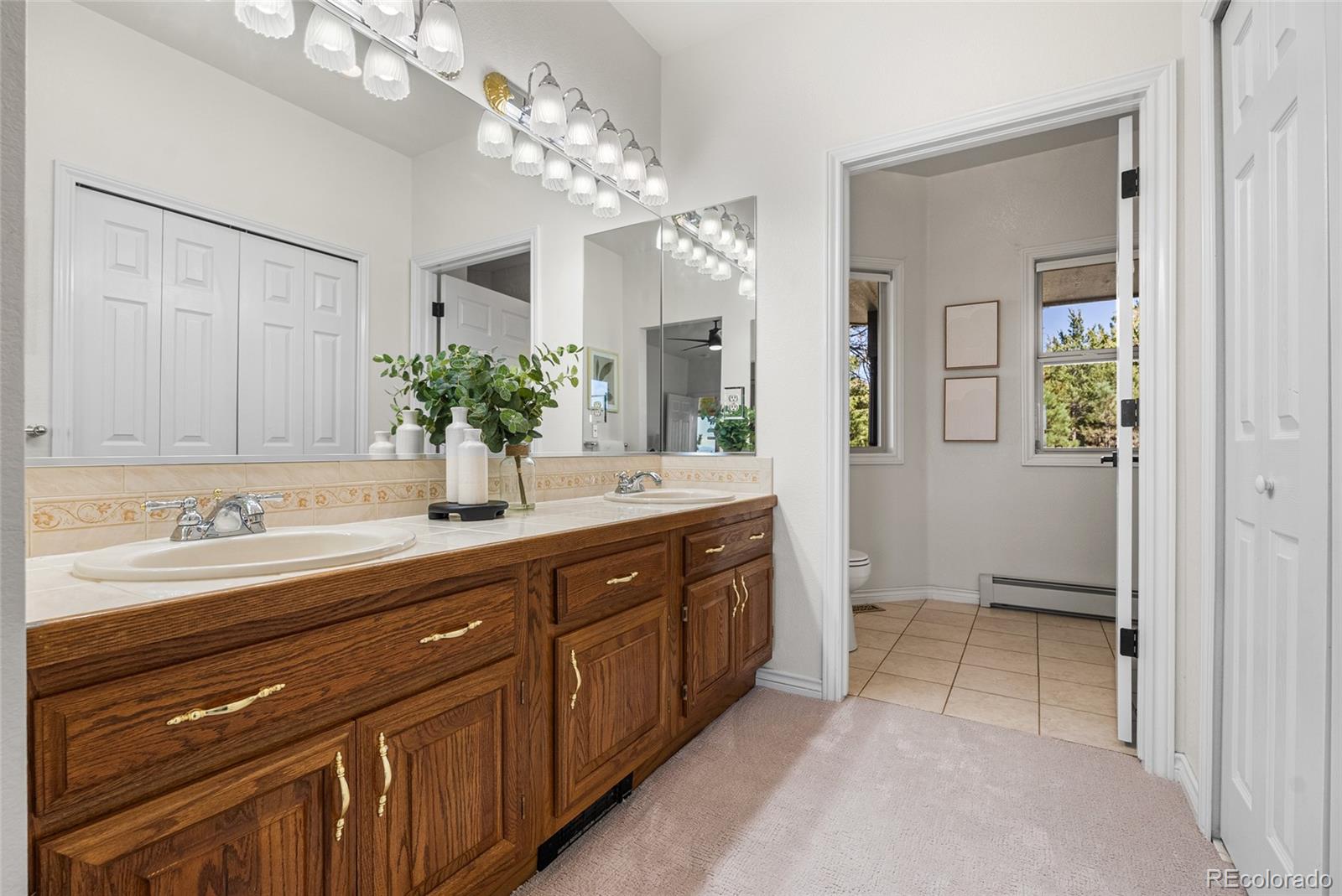 MLS Image #20 for 3525  palmer ridge drive,parker, Colorado