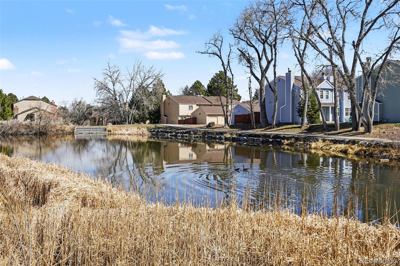 MLS Image #24 for 12168  melody drive,denver, Colorado