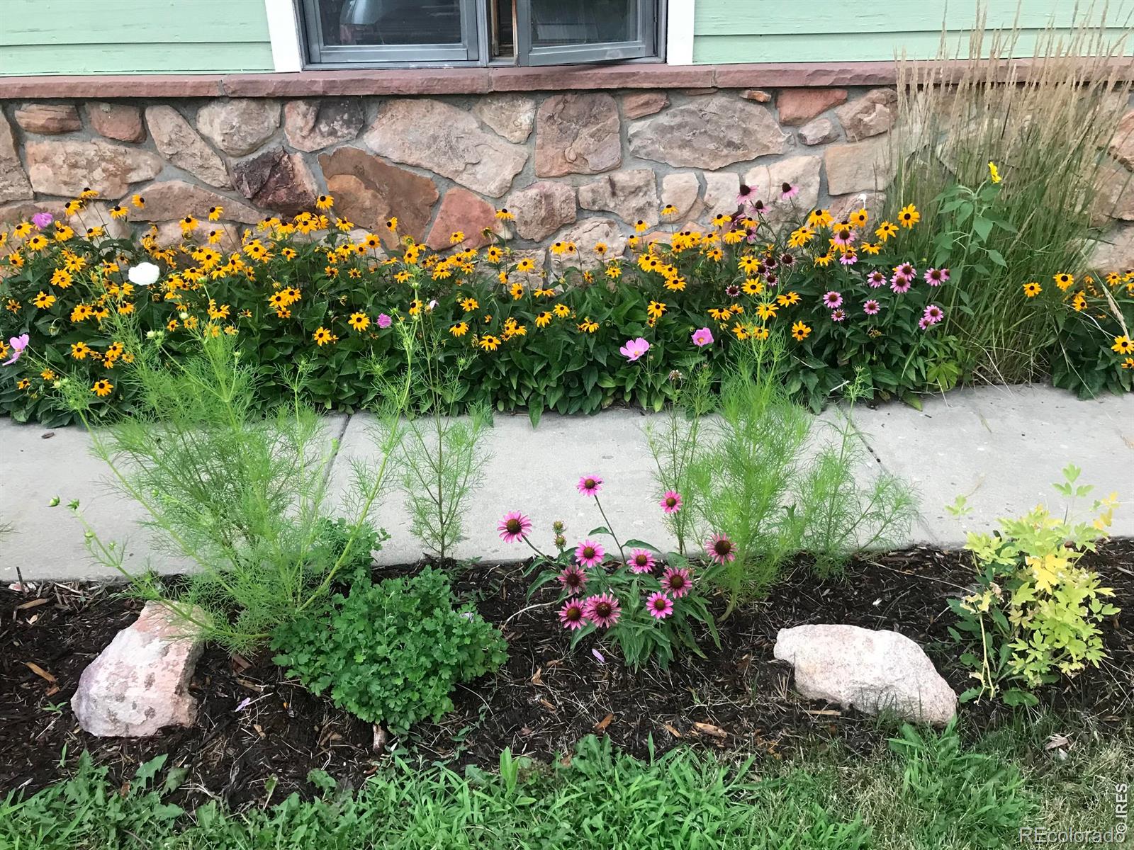 MLS Image #45 for 4057  niblick drive,longmont, Colorado