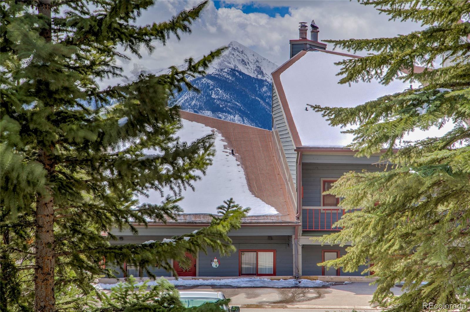MLS Image #29 for 94300  ryan gulch road,silverthorne, Colorado