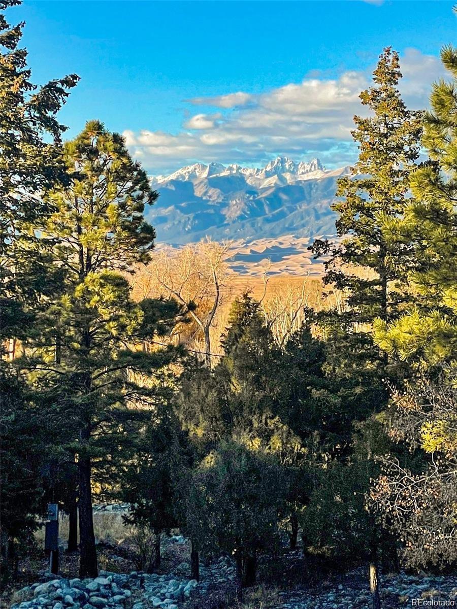 MLS Image #10 for 236  mill run road,mosca, Colorado