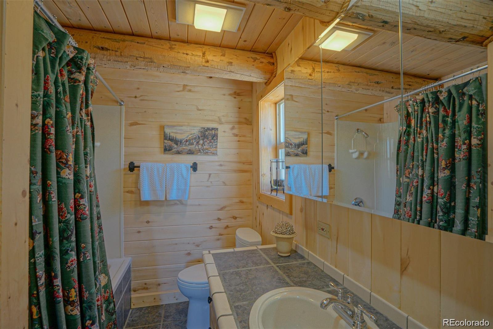 MLS Image #25 for 236  mill run road,mosca, Colorado