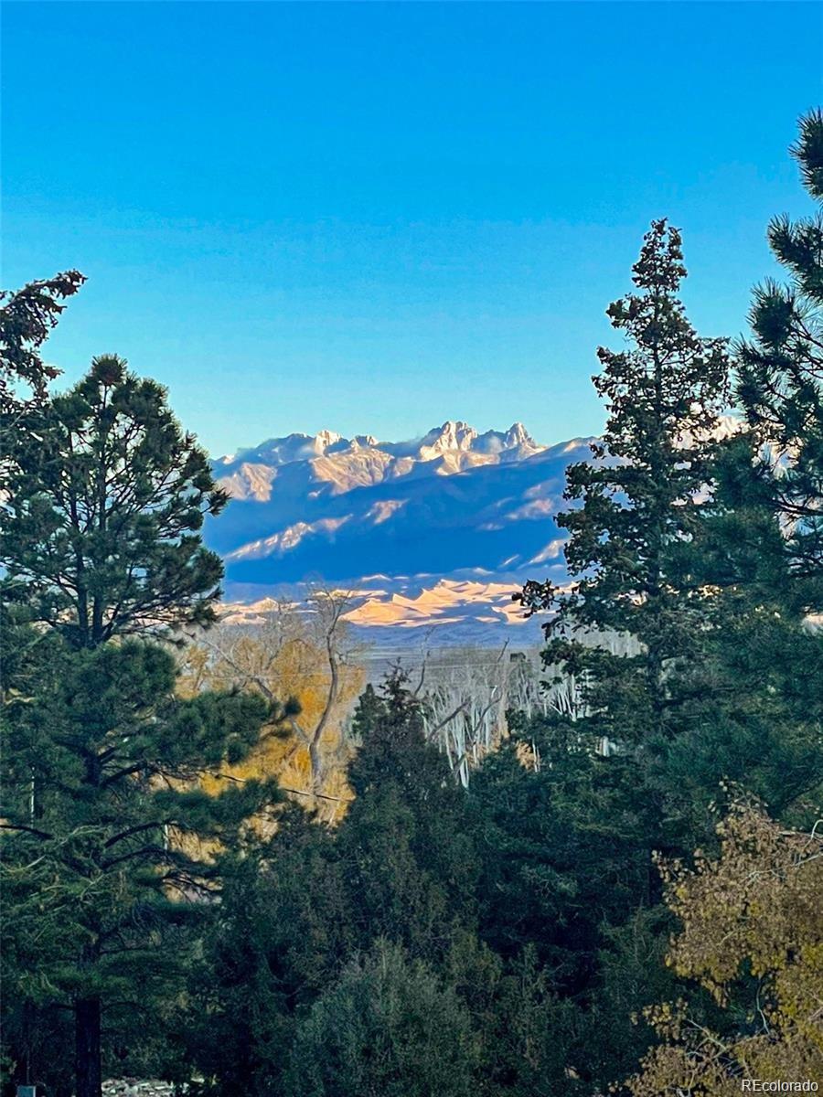 MLS Image #9 for 236  mill run road,mosca, Colorado