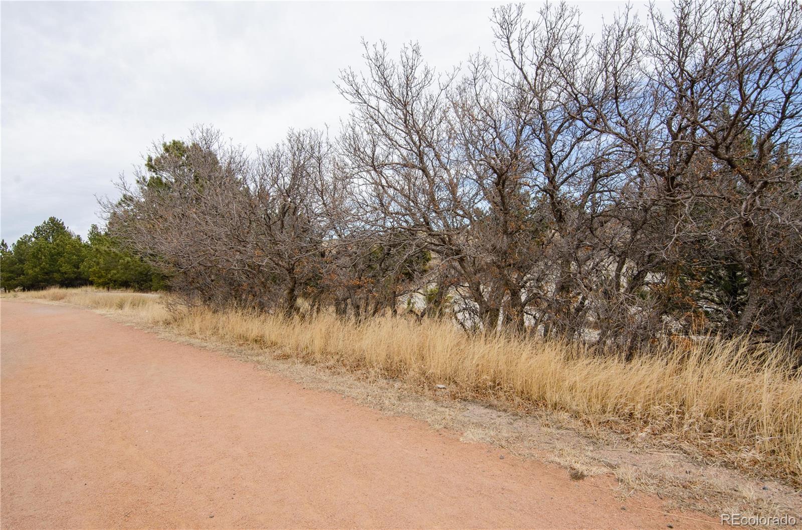MLS Image #42 for 784  century lane,monument, Colorado
