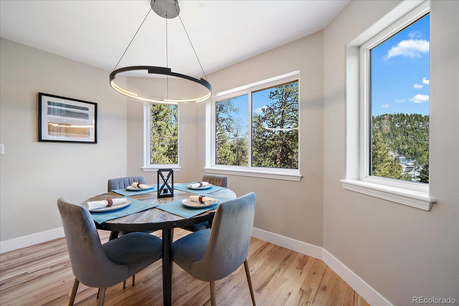 MLS Image #10 for 6904  sprucedale parkway,evergreen, Colorado