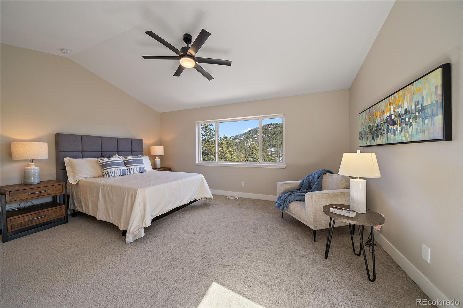 MLS Image #13 for 6904  sprucedale parkway,evergreen, Colorado
