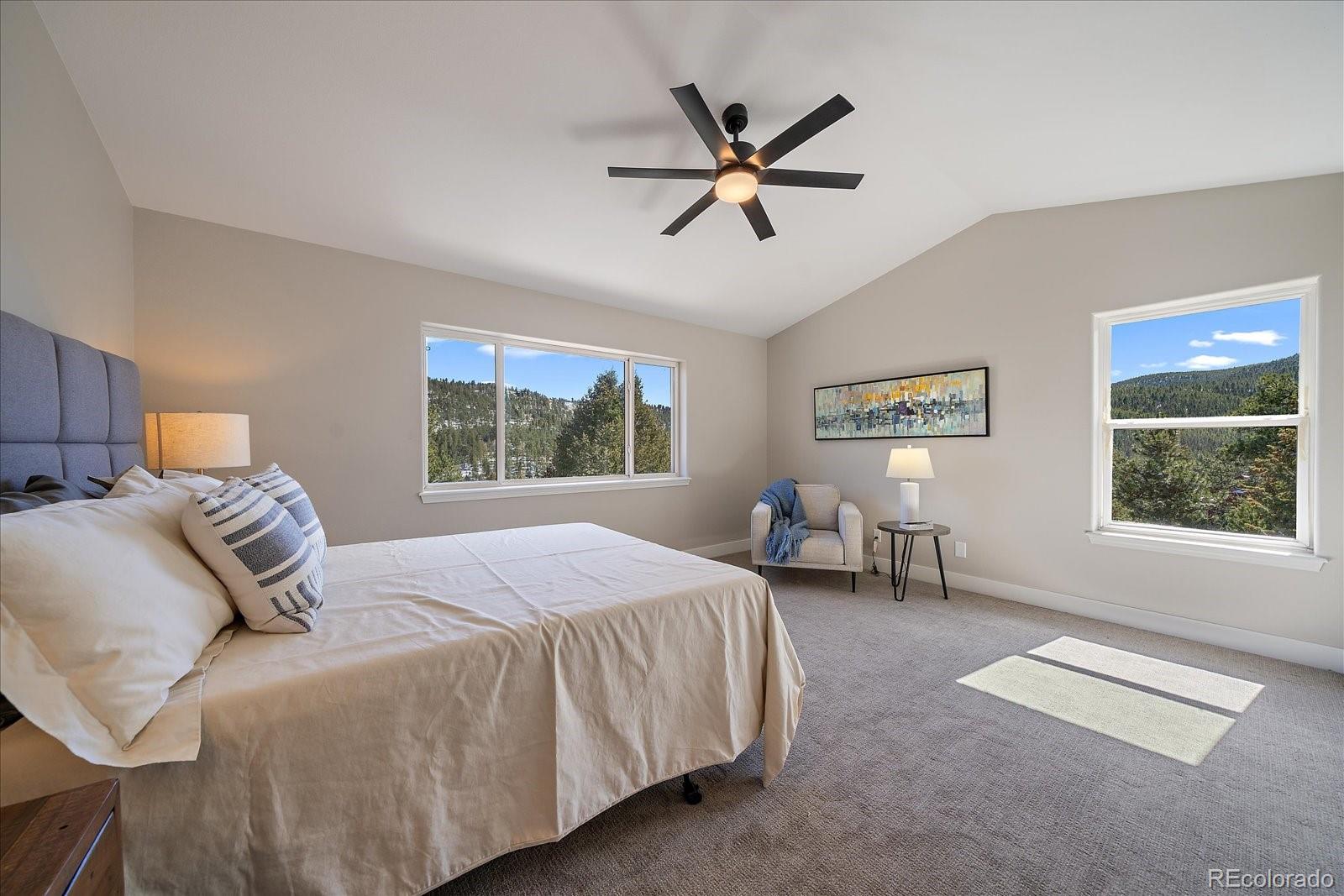 MLS Image #14 for 6904  sprucedale parkway,evergreen, Colorado