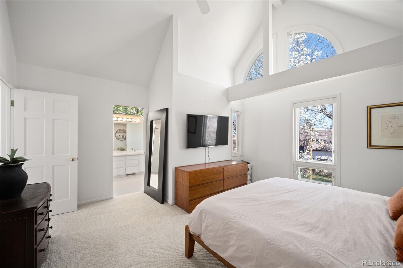 MLS Image #11 for 347  harrison street ,denver, Colorado