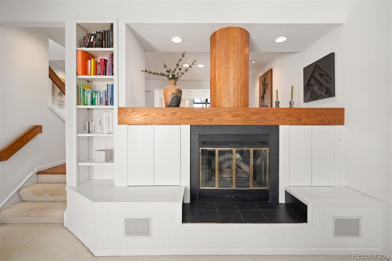 MLS Image #3 for 347  harrison street ,denver, Colorado