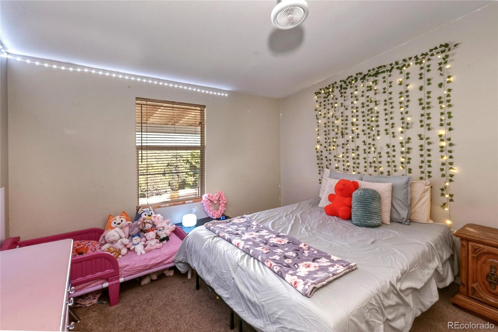 MLS Image #19 for 26131  pinon ridge drive,aguilar, Colorado