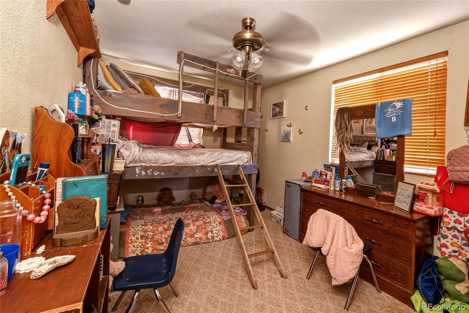 MLS Image #27 for 26131  pinon ridge drive,aguilar, Colorado