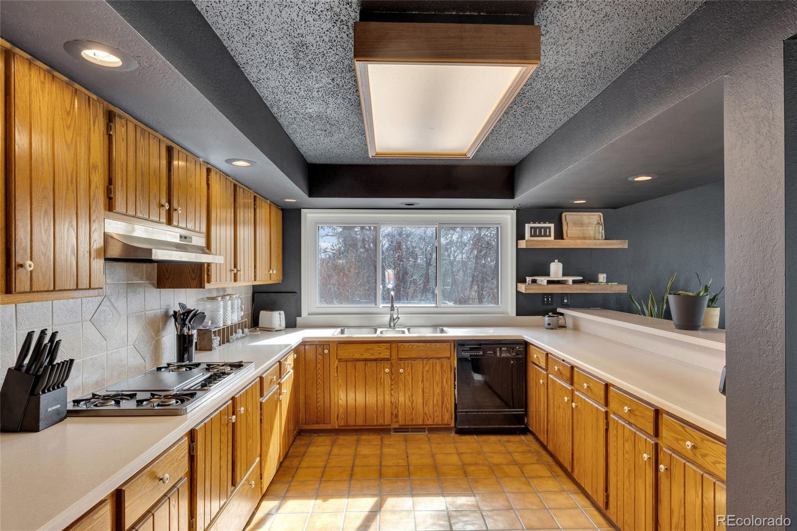 MLS Image #18 for 9805  deerfield road,franktown, Colorado