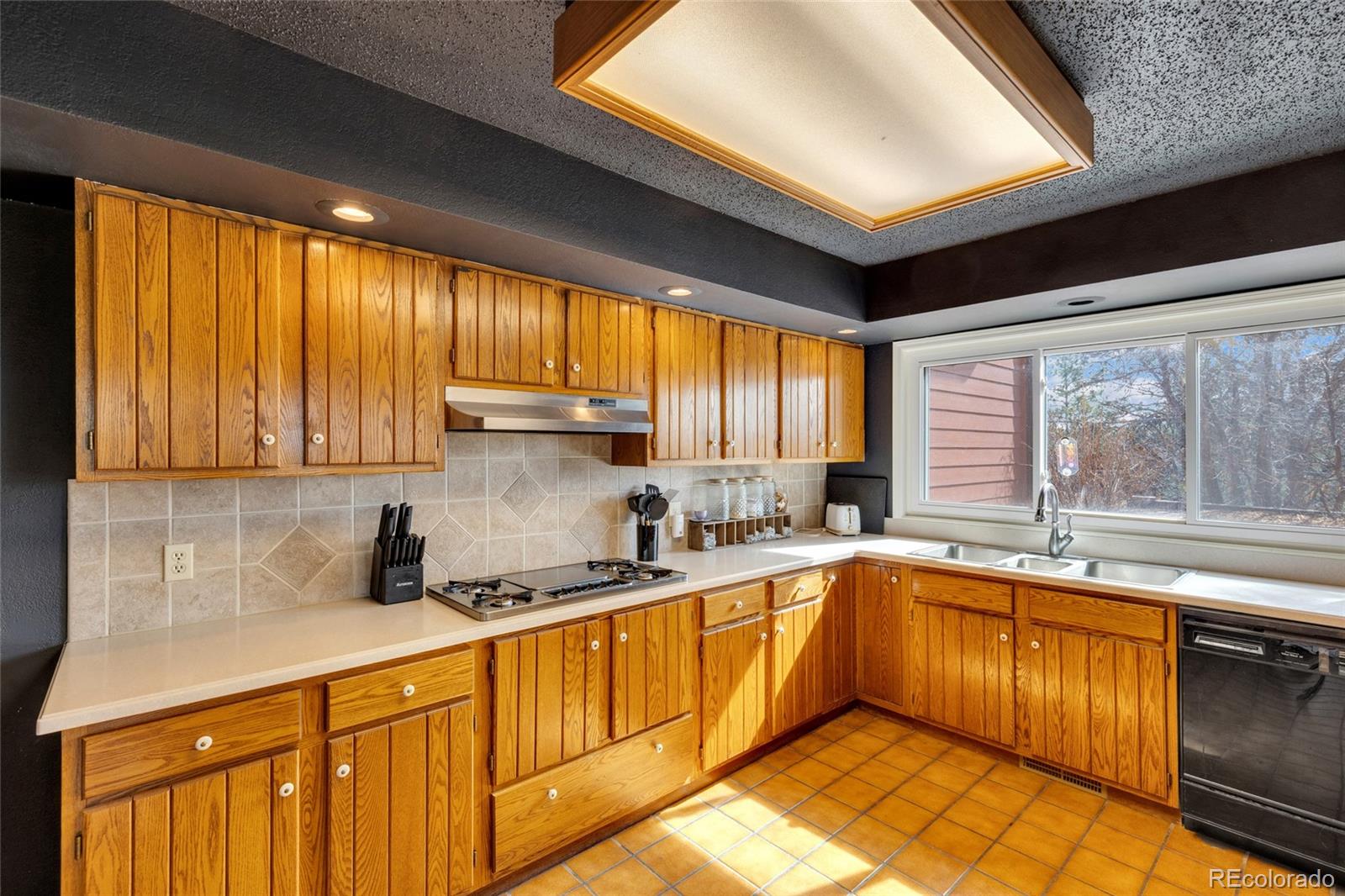 MLS Image #19 for 9805  deerfield road,franktown, Colorado