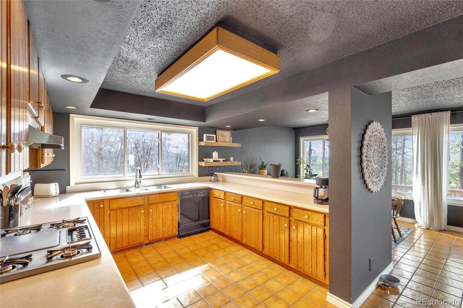 MLS Image #20 for 9805  deerfield road,franktown, Colorado
