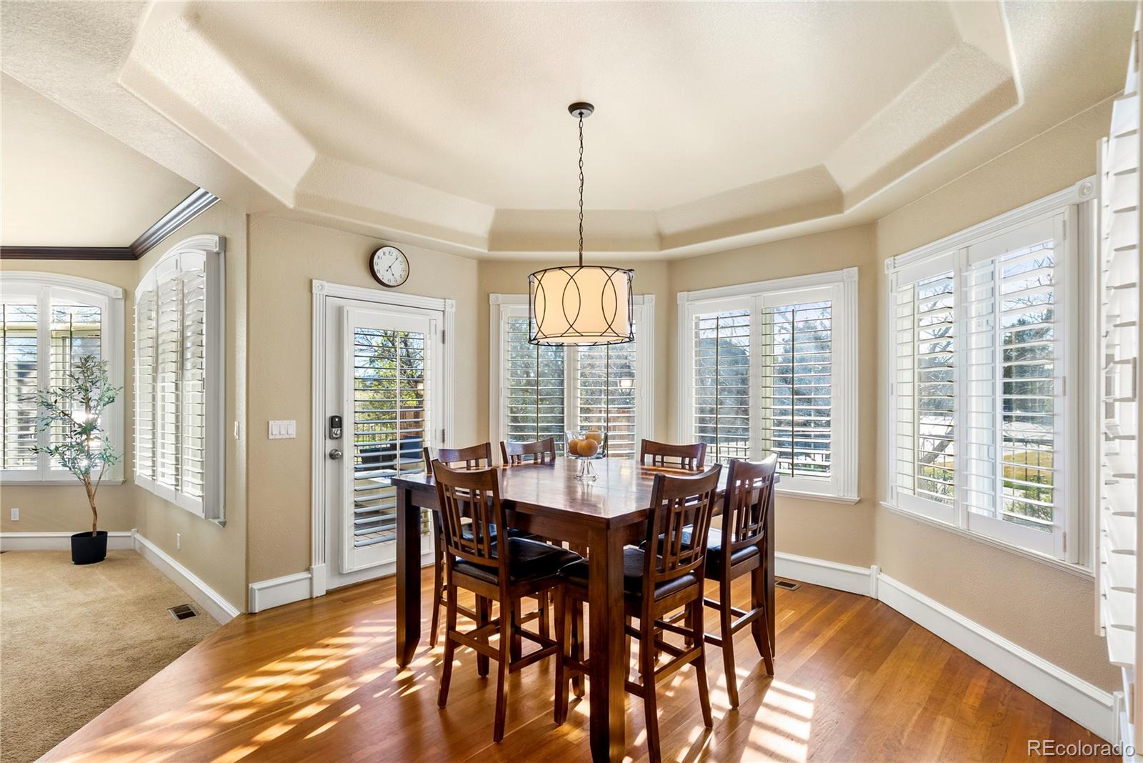 MLS Image #17 for 291  fairchild drive,highlands ranch, Colorado