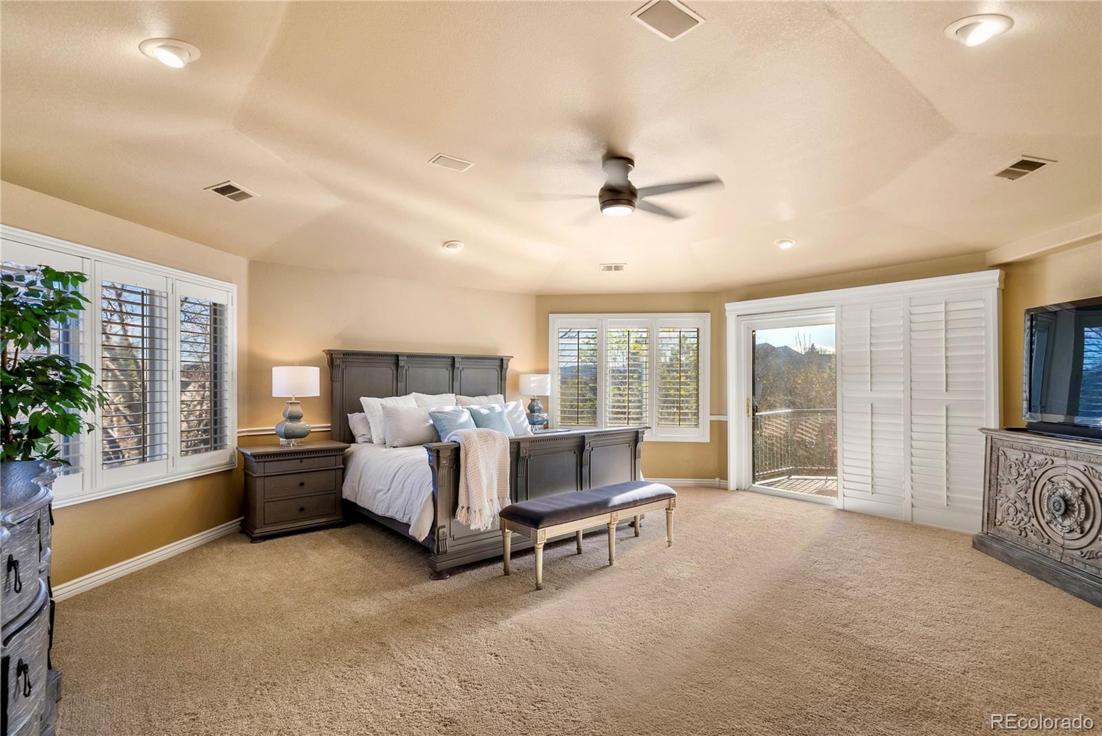MLS Image #22 for 291  fairchild drive,highlands ranch, Colorado